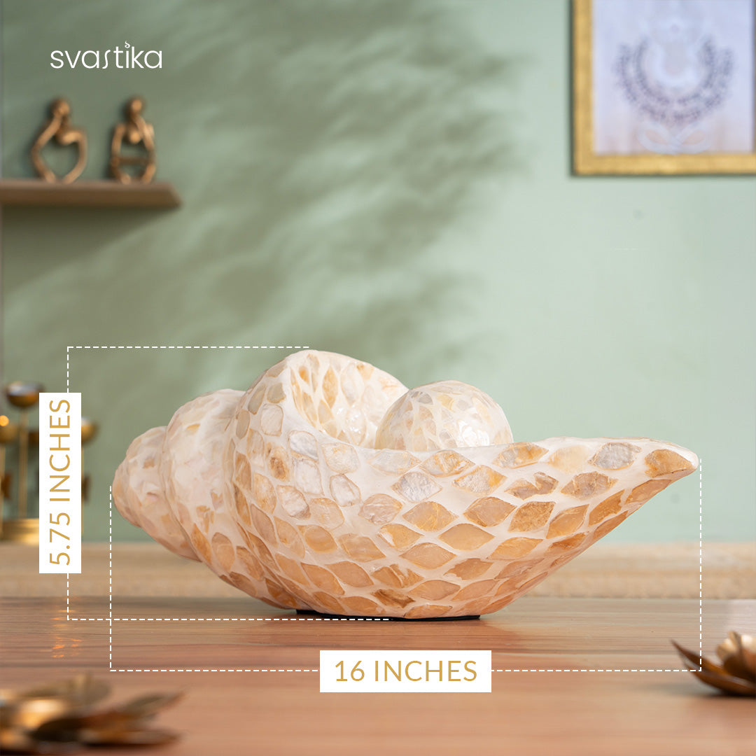 Artistic Conch Shell for Home Decor