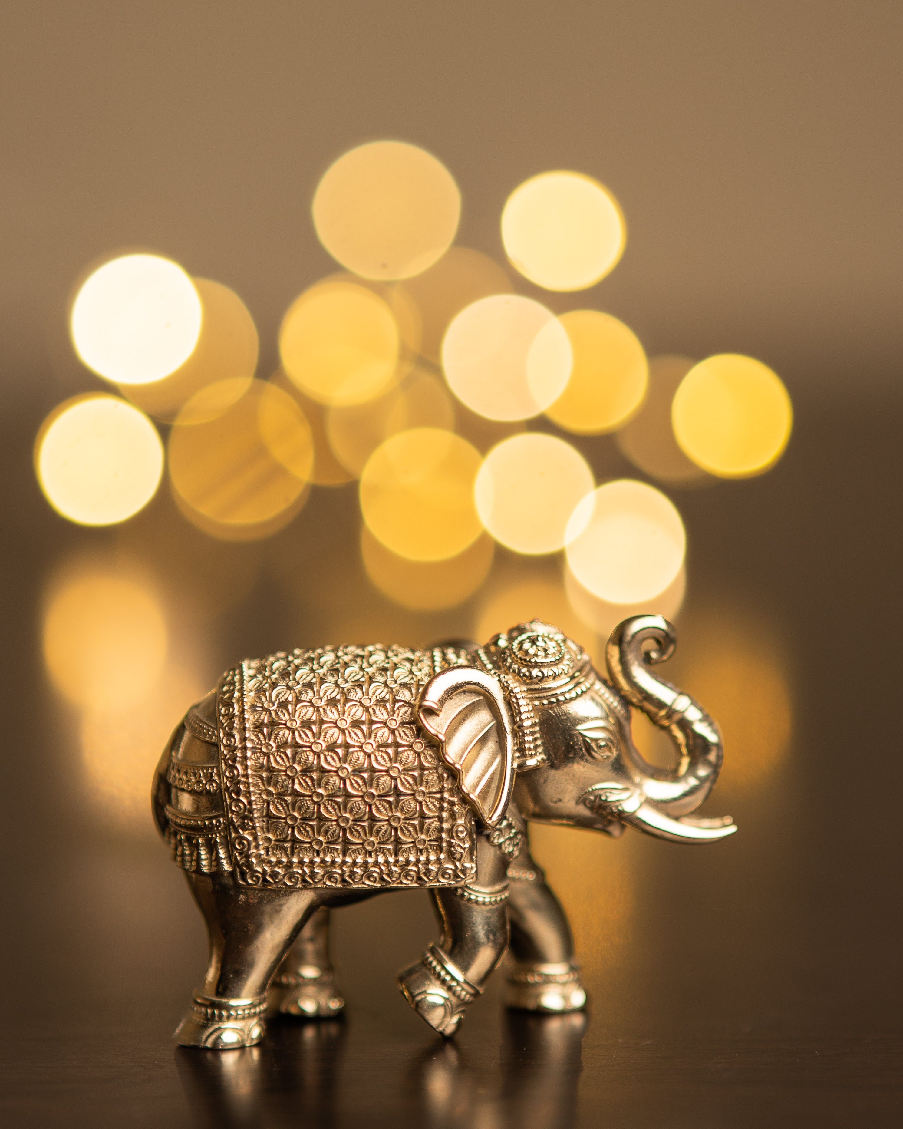 Brass Vastu Elephant Set of 2 | Trunk Up Pair for Prosperity, Luck & Strength