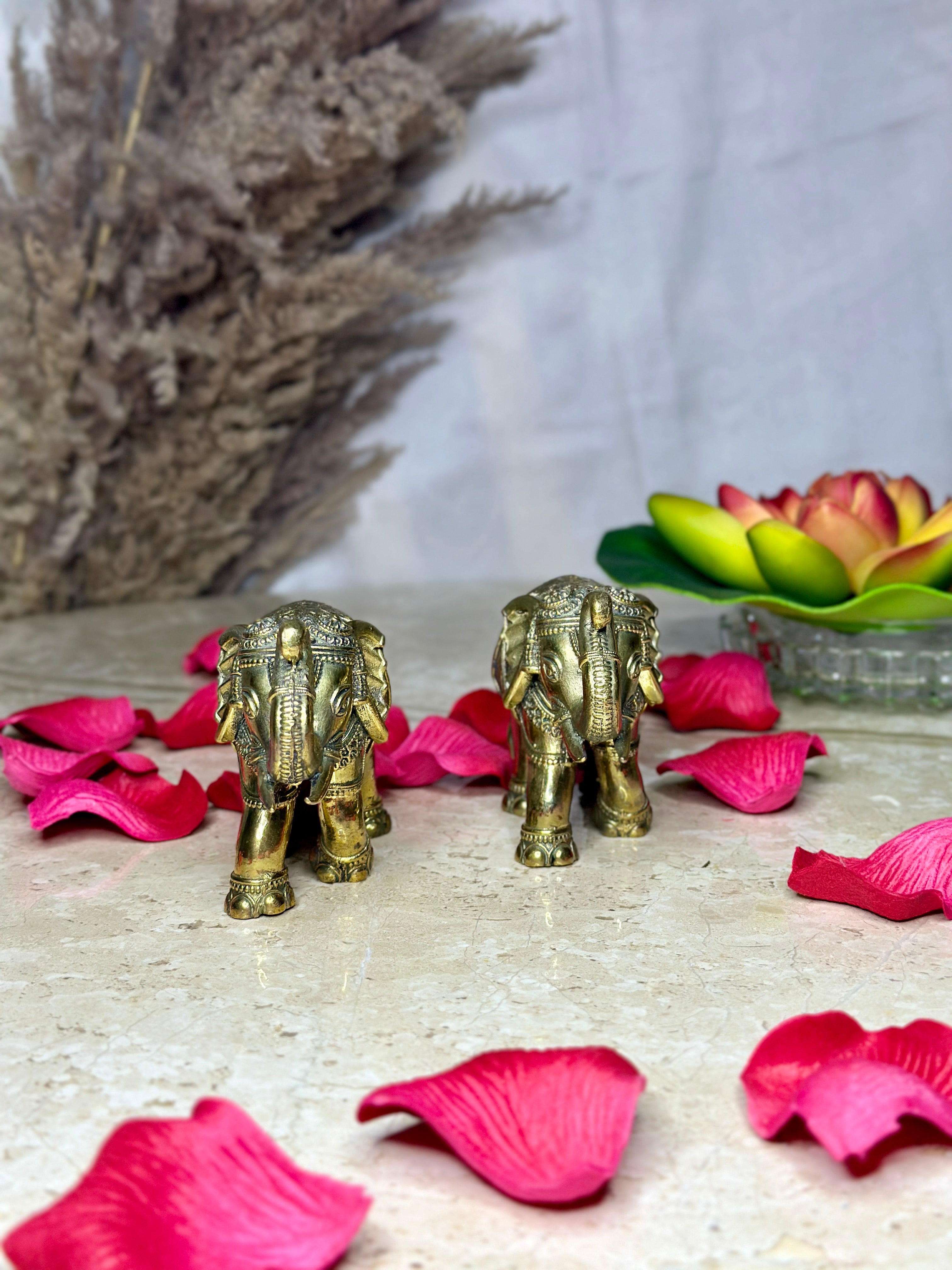 Brass Vastu Elephant Murti Pair | Trunk Up Idol for Good Luck, Prosperity & Strength