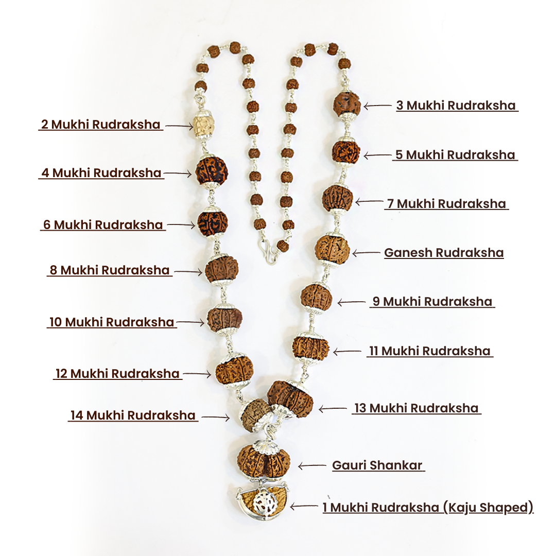 1–14 Mukhi Rudraksha Siddha Mala – Nepal Origin | With Ganesh Mukhi & Gaurishankar