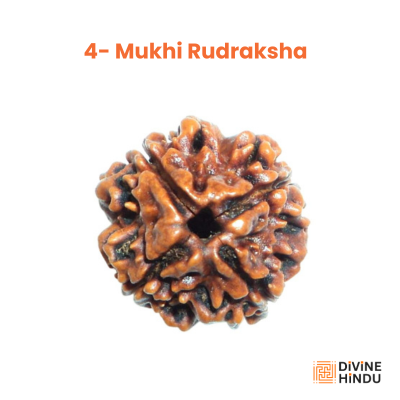 4 Mukhi Rudraksha,  bead linked to Lord Brahma, enhancing creativity and knowledge.