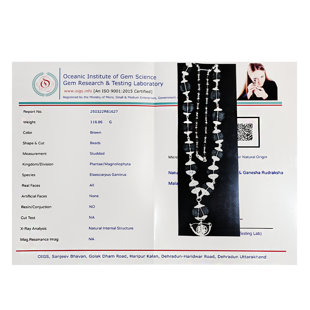 1–14 Mukhi Rudraksha Siddha Mala – Nepal Origin | With Ganesh Mukhi & Gaurishankar