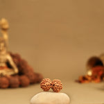 Gauri Shankar Rudraksha