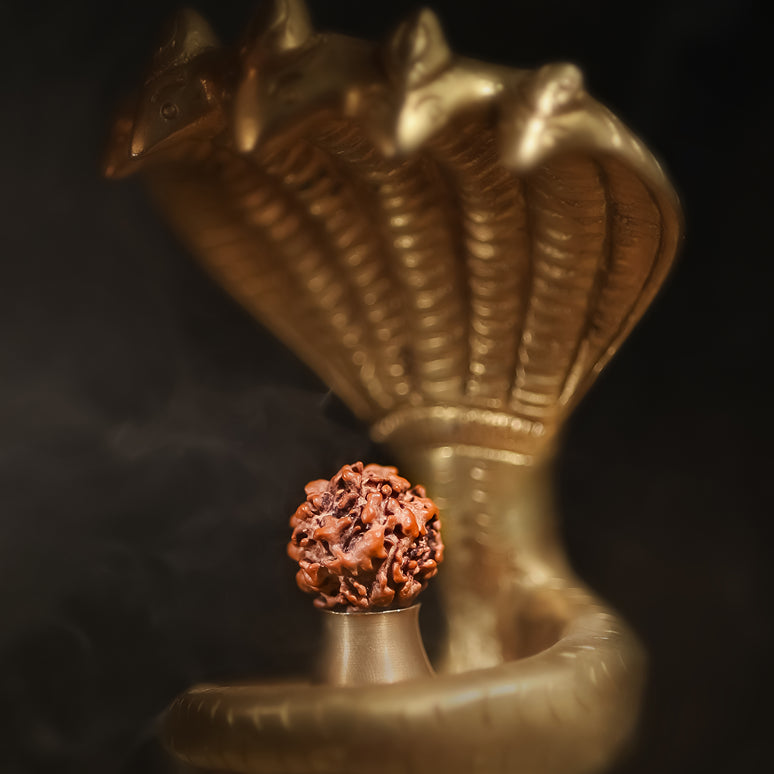 Nirakar (Zero) Mukhi Rudraksha