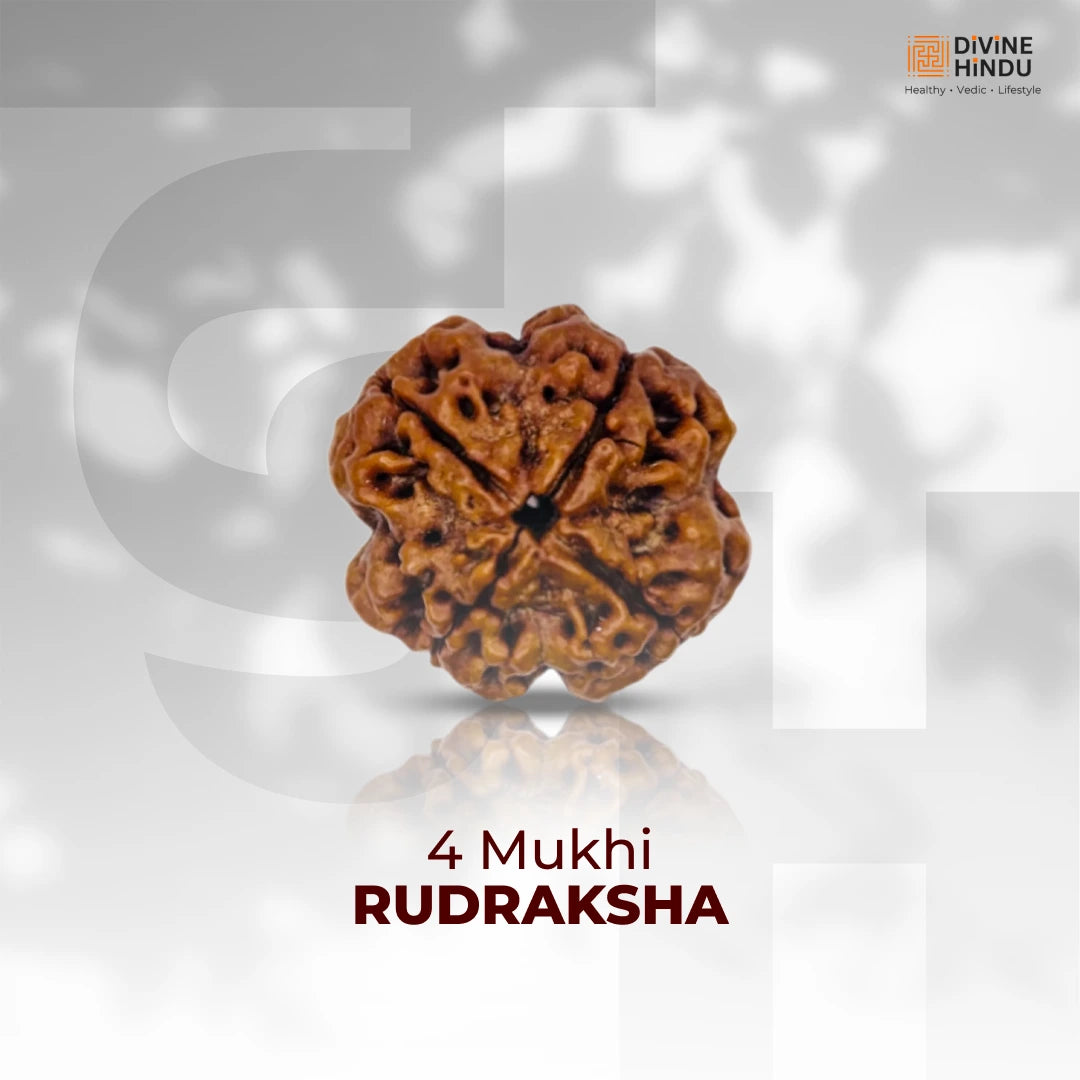 4 Mukhi Lab Tested Certified Nepali Rudraksha