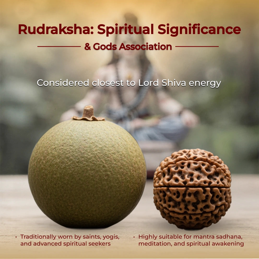 5 Mukhi Rudraksha Bracelet