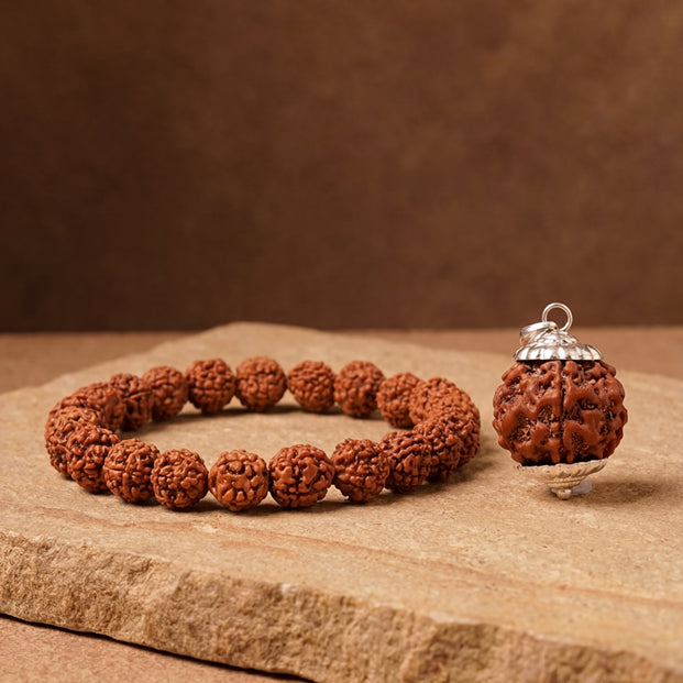 5 Mukhi Rudraksha Bracelet and Bead for Peace and Balance combo