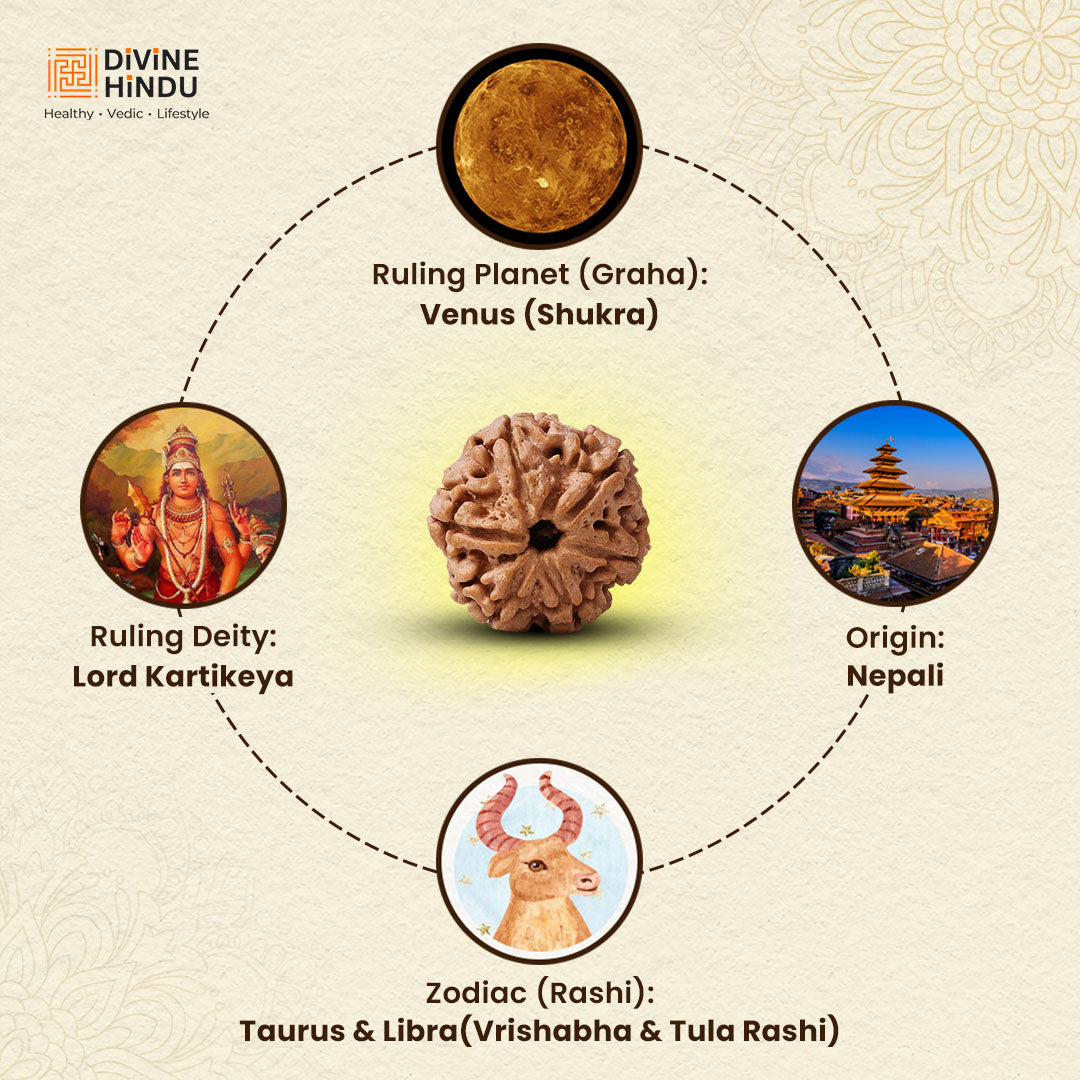 Ruling Planet | Ruling Deity | Origin | Zodiac of 6 Mukhi Rudraksha