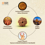 Ruling Planet | Ruling Deity | Origin | Zodiac of 6 Mukhi Rudraksha