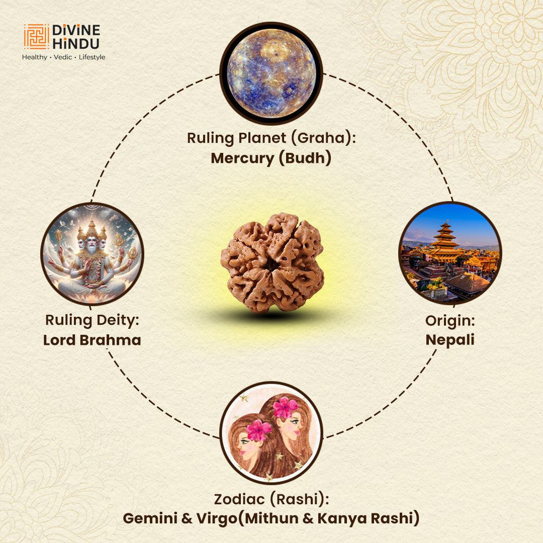 4 Mukhi Rudraksha | Ruling Planet, Ruling Deity | Origin | Zodiac of 4 Mukhi Rudraksha