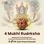 4 Mukhi Rudraksha | Beej Mantra 