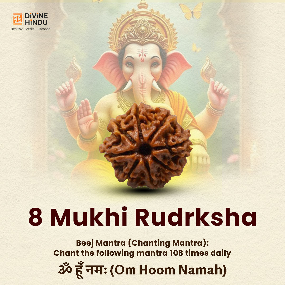 8 Mukhi Rudraksha | Rudraksha 8 Mukhi  | Beej Mantra 
