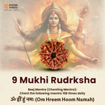 9 Mukhi Rudraksha | Beej Mantra 