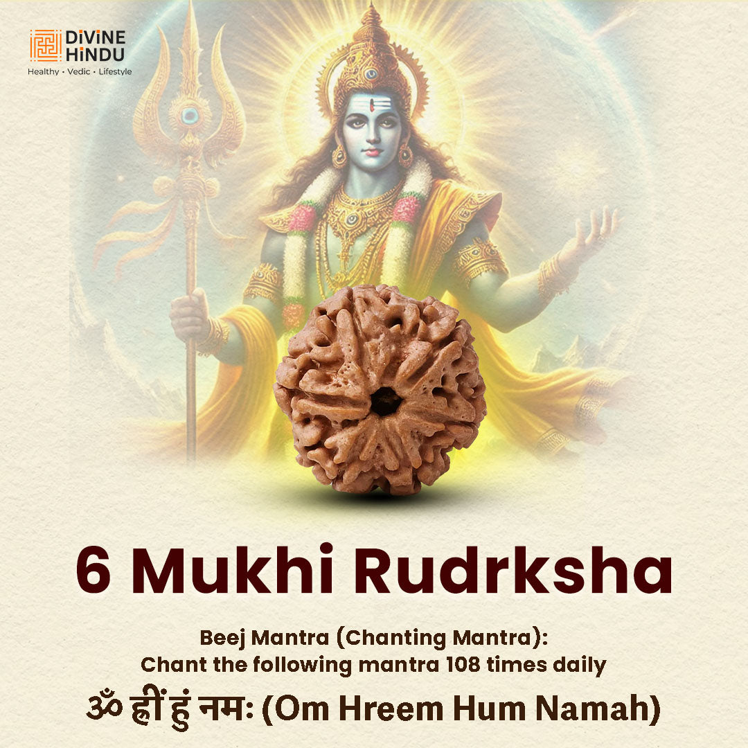 Beej Mantra of 6 Mukhi Rudraksha | Buy 6 Mukhi Rudraksha